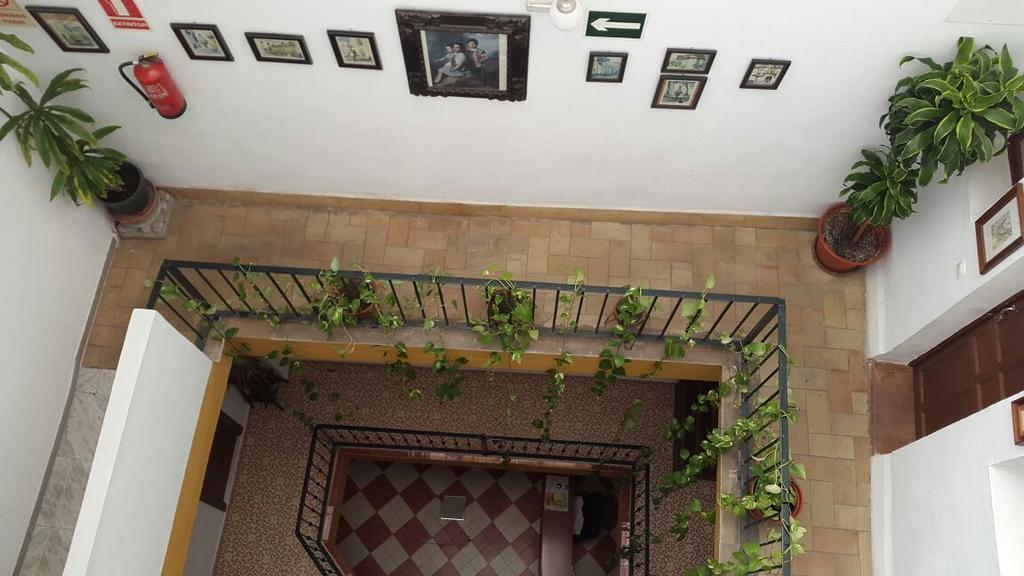 Hostal El Rincon De Carlota Sevilla Exterior foto